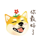 New Year＆Valentine Shiba Inu Bui(VOL.2)（個別スタンプ：5）