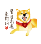 New Year＆Valentine Shiba Inu Bui(VOL.2)（個別スタンプ：6）