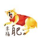 New Year＆Valentine Shiba Inu Bui(VOL.2)（個別スタンプ：8）