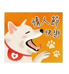 New Year＆Valentine Shiba Inu Bui(VOL.2)（個別スタンプ：16）