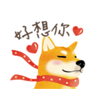 New Year＆Valentine Shiba Inu Bui(VOL.2)（個別スタンプ：18）