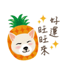 New Year＆Valentine Shiba Inu Bui(VOL.2)（個別スタンプ：28）