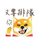 New Year＆Valentine Shiba Inu Bui(VOL.2)（個別スタンプ：34）