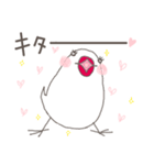 関西弁の白文鳥(LOVE）（個別スタンプ：22）