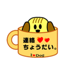 犬の毎日5（個別スタンプ：5）