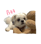 Kaki's Dog（個別スタンプ：1）