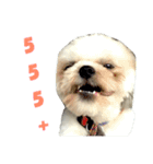 Kaki's Dog（個別スタンプ：2）