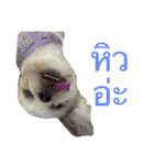 Kaki's Dog（個別スタンプ：4）