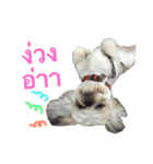 Kaki's Dog（個別スタンプ：6）