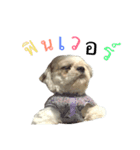 Kaki's Dog（個別スタンプ：9）