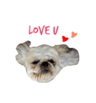 Kaki's Dog（個別スタンプ：15）