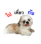 Kaki's Dog（個別スタンプ：21）
