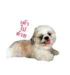 Kaki's Dog（個別スタンプ：22）