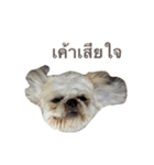 Kaki's Dog（個別スタンプ：24）