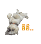 Kaki's Dog（個別スタンプ：25）