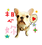 LOVE DOG HA JEI（個別スタンプ：2）