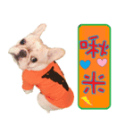 LOVE DOG HA JEI（個別スタンプ：3）