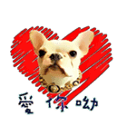 LOVE DOG HA JEI（個別スタンプ：8）