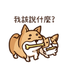 Shiba Says 4（個別スタンプ：17）