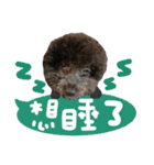 Chibao part1（個別スタンプ：14）