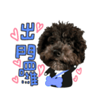 Chibao part1（個別スタンプ：16）