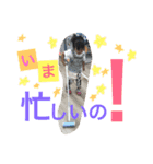 かわいいふぁみりー（個別スタンプ：13）