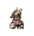 hot dog helpless（個別スタンプ：1）