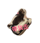 hot dog helpless（個別スタンプ：5）