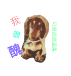 hot dog helpless（個別スタンプ：12）