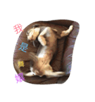 hot dog helpless（個別スタンプ：16）
