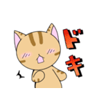 【イラスト版】表情豊かな猫ちゃん達。（個別スタンプ：12）