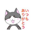 【イラスト版】表情豊かな猫ちゃん達。（個別スタンプ：17）