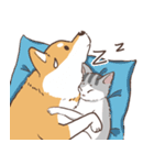 Cats and dogs fall in love（個別スタンプ：5）