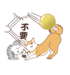 Cats and dogs fall in love（個別スタンプ：11）