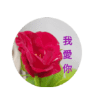 Cats and dogs Valentine's Day wishes（個別スタンプ：5）