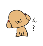 うちの3匹の天使たち（個別スタンプ：1）