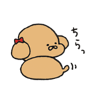 うちの3匹の天使たち（個別スタンプ：10）