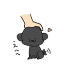 うちの3匹の天使たち（個別スタンプ：19）