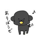 うちの3匹の天使たち（個別スタンプ：20）