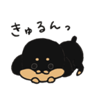 うちの3匹の天使たち（個別スタンプ：24）