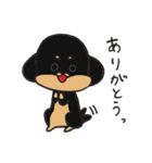 うちの3匹の天使たち（個別スタンプ：26）
