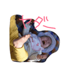 momo.h（個別スタンプ：7）