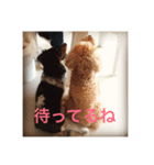 uchino_ko（個別スタンプ：3）