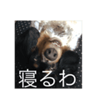 uchino_ko（個別スタンプ：5）
