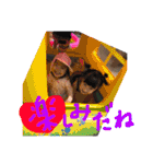 cute kids...（個別スタンプ：13）