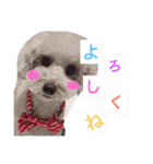 るいとまん（個別スタンプ：11）