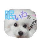 るいとまん（個別スタンプ：12）