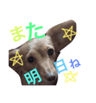 るいとまん（個別スタンプ：14）