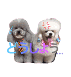 るいとまん（個別スタンプ：15）