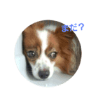 good fun（個別スタンプ：5）